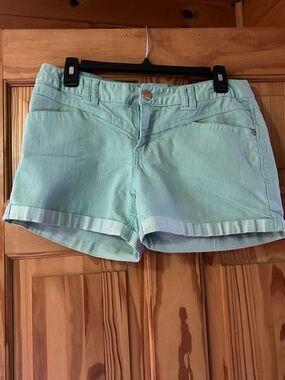 Express Women's Mint Green Cuffed Jean Shorts